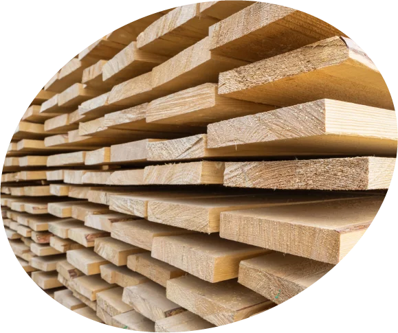 Sector-acs-ronde-foto-hout