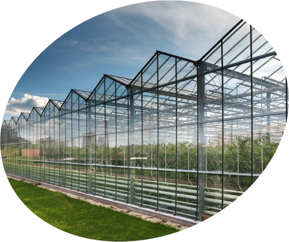 Sector-acs-ronde-foto-tuinbouw